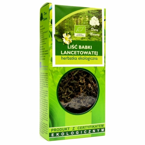Babka lancetowata liść EKO 25g