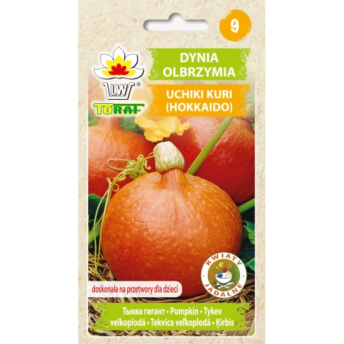 Dynia olbrzymia UCHIKI KURI (Hokkaido) 5g