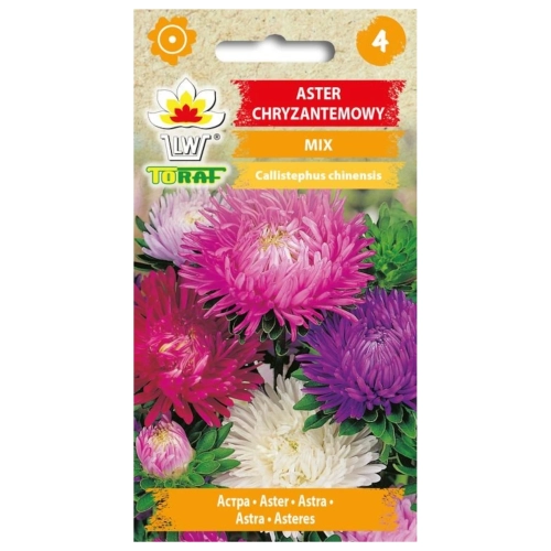 Aster chryzantemowy MIX 1g