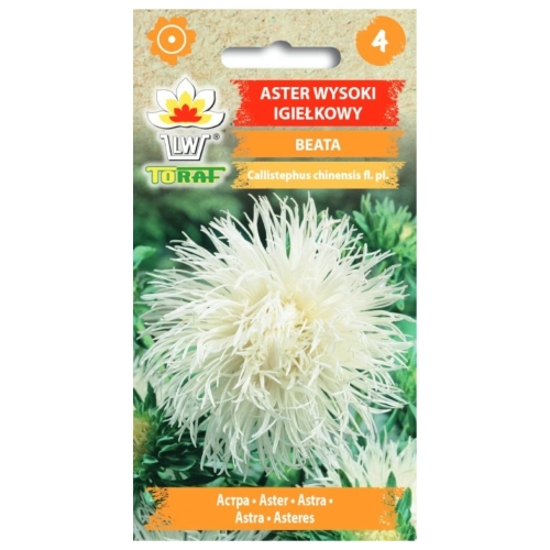 Aster wysoki igiełkowy BIAŁY 1g