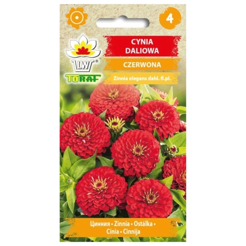 Cynia daliowa CZERWONA 1g