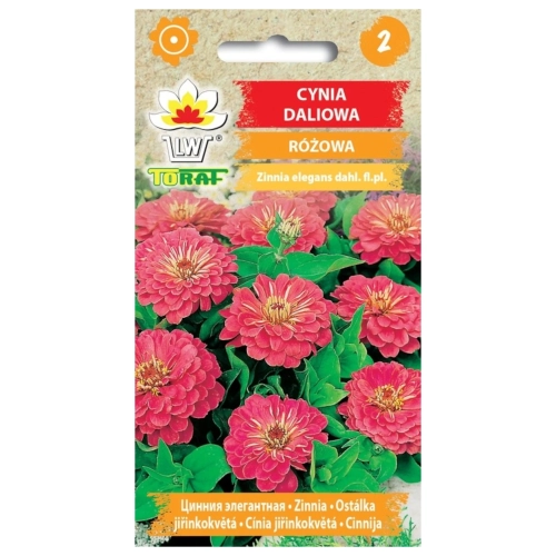 Cynia daliowa RÓŻOWA 1g