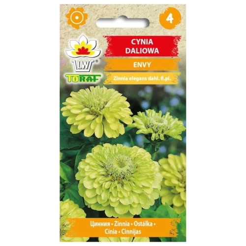 Cynia daliowa ENVY 1g