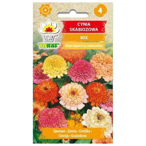 Cynia skabiozowa MIX 1g