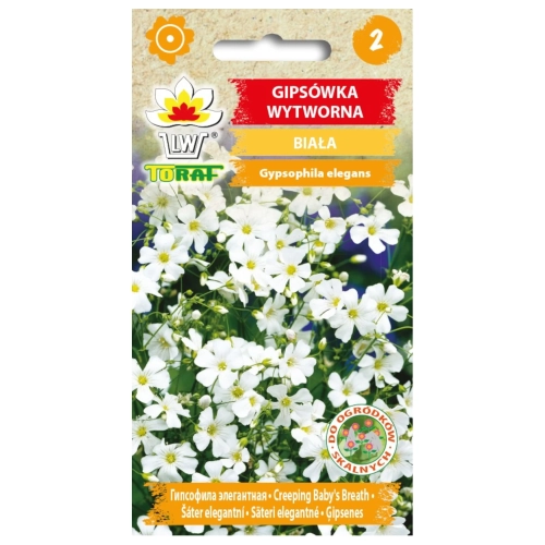 Gipsówka wytworna BIAŁA 1g