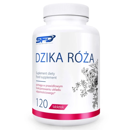Dzika róża 120tab - SFD