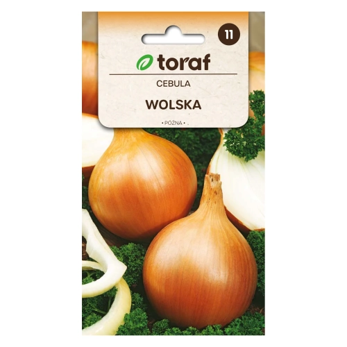 Cebula WOLSKA 5g