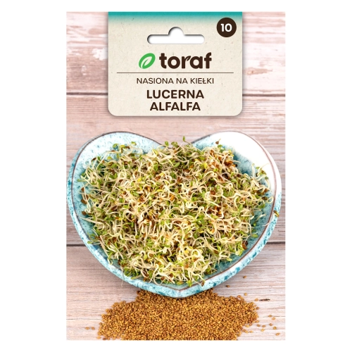 Nasiona na kiełki BIO - lucerna ALFALFA 20g