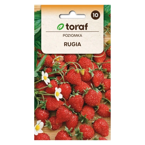 Poziomka RUGIA 0,2g