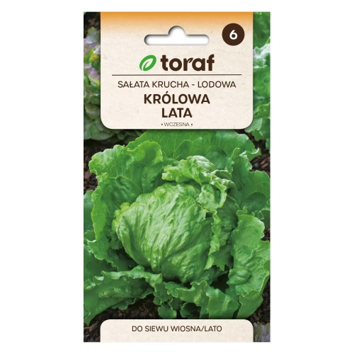 Sałata krucha-lodowa KRÓLOWA LATA 1g