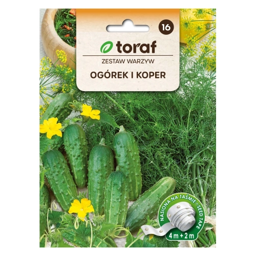 Zestaw warzyw - ogórek i koper (taśma 6m)