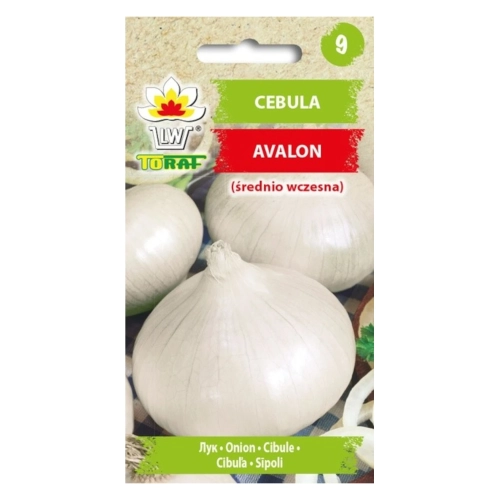Cebula AVALON 3g
