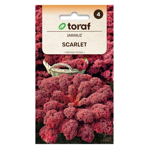 Jarmuż SCARLET 1g
