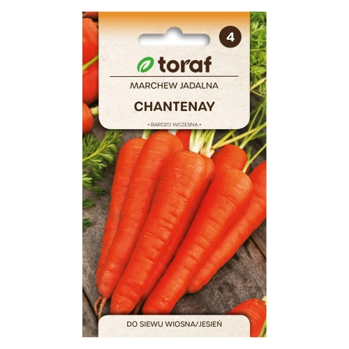 Marchew CHANTENAY 5g