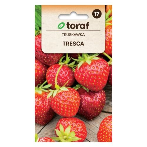 Truskawka TRESCA 20 szt.