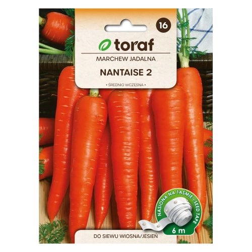 Marchew NANTAISE 2 (taśma 6m)