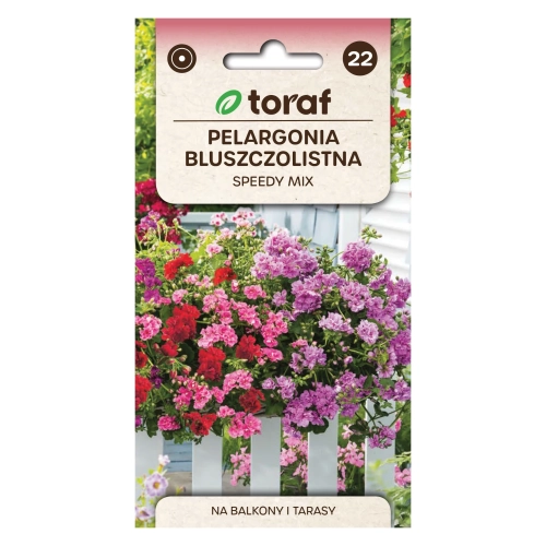 Pelargonia zwisająca SPEEDY MIX 10 szt.