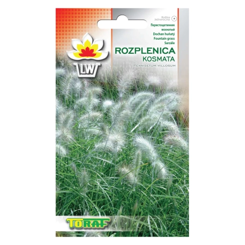 Trawa rozplenica KOSMATA 12 szt.