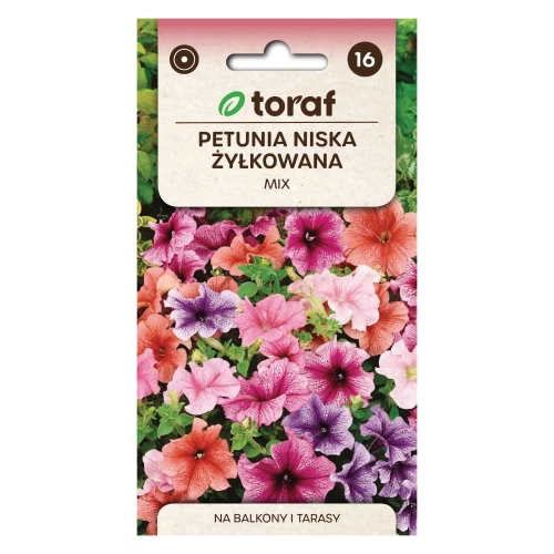 Petunia niska żyłkowana 0,1g