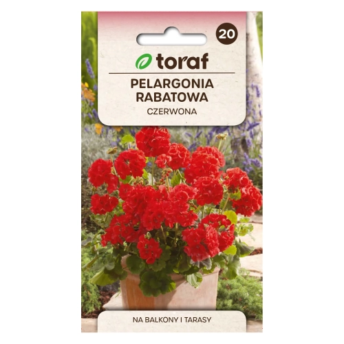 Pelargonia rabatowa CZERWONA 0,5g