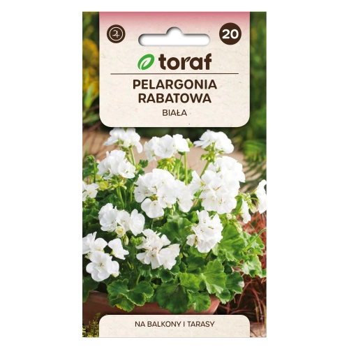 Pelargonia rabatowa BIAŁA 0,5g