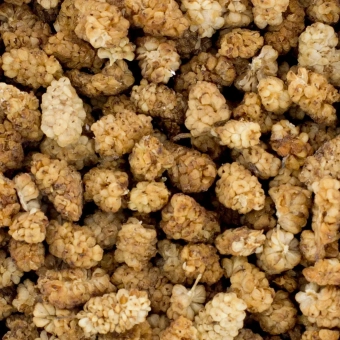 morwa-miseczka (1).webp