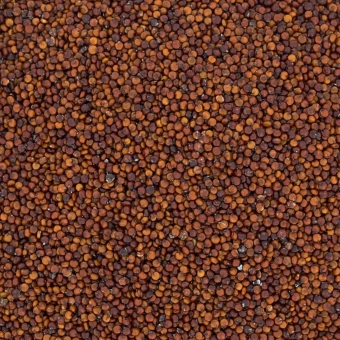 quinoa-komsa-ryzowa-czerwona (1).webp