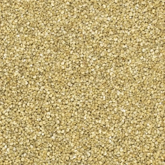 komosa-ryzowa-biala-1 (1).webp