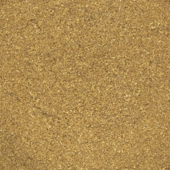 kolendra-mielona (1).webp