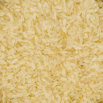 Ryz-paraboliczny (1).webp