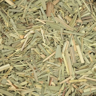 trawa-cytrynowa (1).webp