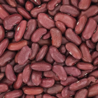 Fasola-czerwona.webp
