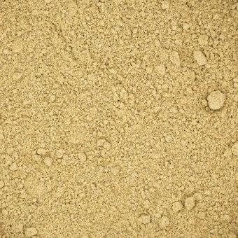 Kozieradka-mielona (1).webp