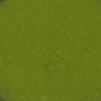 Chlorella w proszku