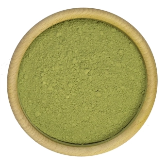Moringa oleifera