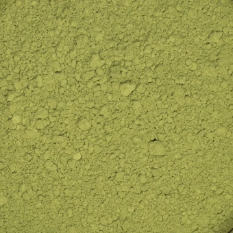 Moringa oleifera