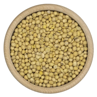 Soja ziarno
