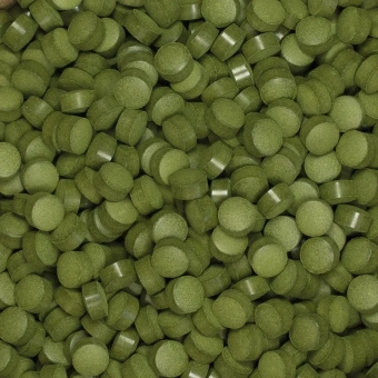 Chlorella tabletki