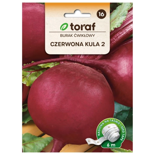 Burak ćwikłowy CZERWONA KULA 2 (taśma 6m).webp