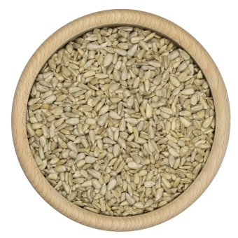 Słonecznik łuskany