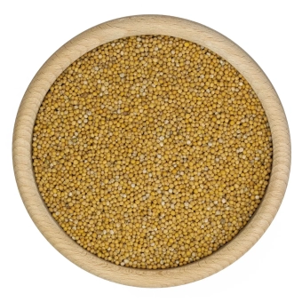 Gorczyca biała ziarno