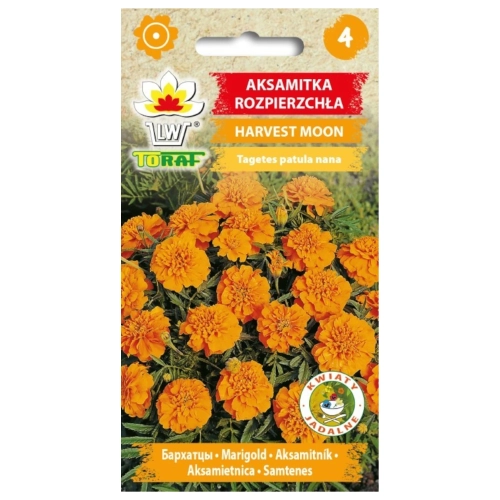 Aksamitka rozpierzchła HARVEST MOON pomarańczowa 1g.webp