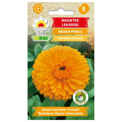 Nagietek lekarski INDIAN PRINCE 1g.webp