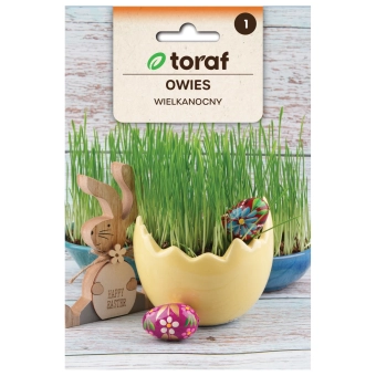 Owies wielkanocny 30g