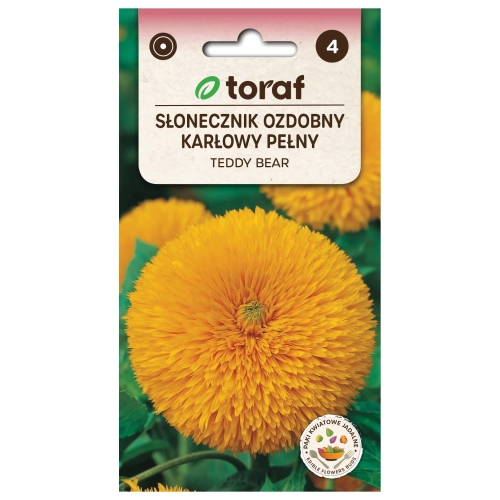 Słonecznik ozdobny pełny TEDDY BEAR 2g.webp