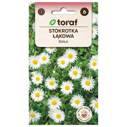 Stokrotka łąkowa BIAŁA 0,2g.webp