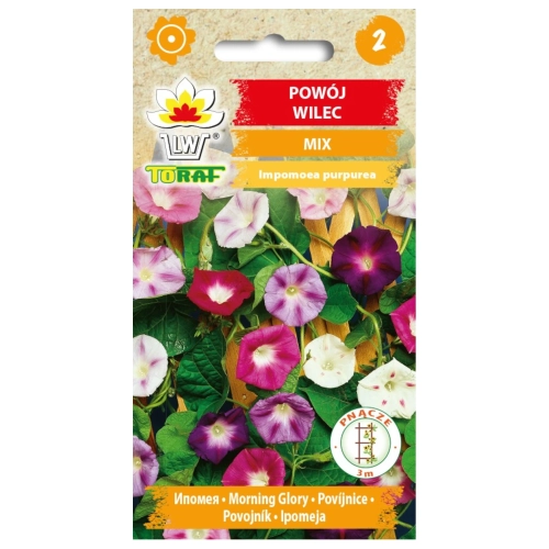 Powój wilec MIX 3g.webp