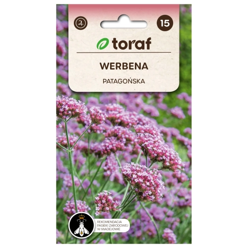 Werbena PATAGOŃSKA 0,2g.webp