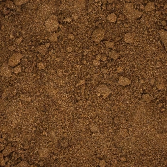 Jałowiec-mielony (1).webp