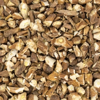 Mniszek-lekarski-korzeń-cięty (1).webp